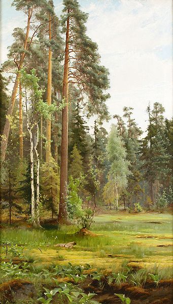 Mauritz Lindstrom Forest Clearing